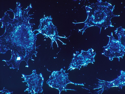 Personalised cancer therapy on the horizon thanks to new genomic cancer research partnership