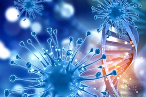 Personalised cancer treatment 2.0: new combination strategy developed
