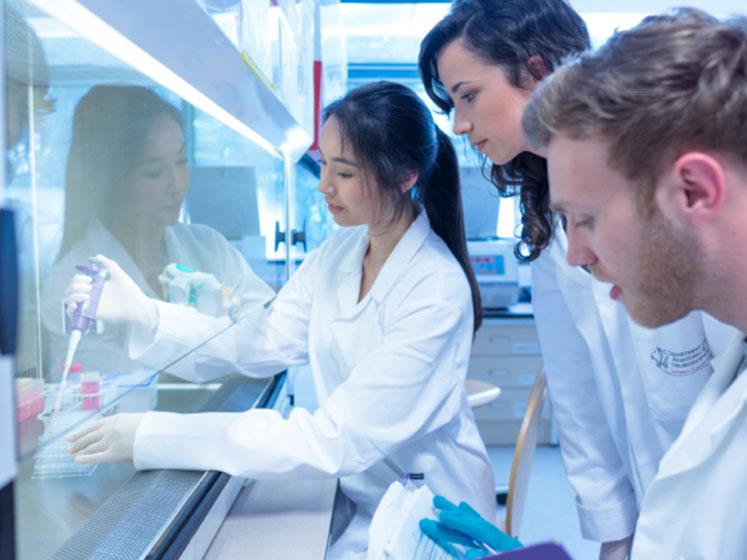 Pharma turns to CD8 in vivo imaging to predict response to immunotherapy