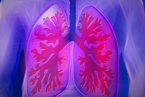 Pharmacokinetic clinical study initiated by Verona Pharma