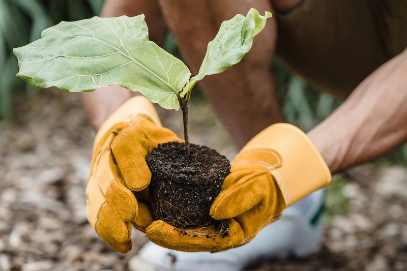 Phastar makes the 2024 Environment 100 list