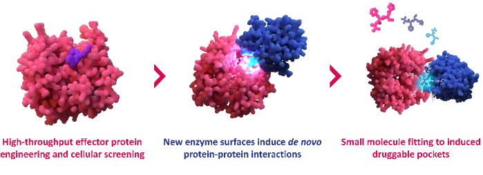 PhoreMost demonstrates new approach to rationalise molecular glue drug discovery