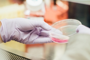 PhoreMost partners with Roche on multi-project drug target collab