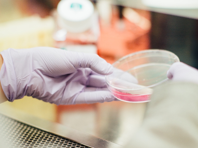 PhoreMost partners with Roche on multi-project drug target collab