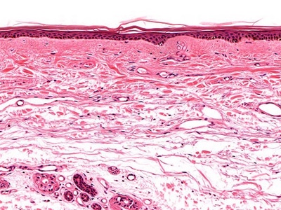 Pioneering, cost-effective technique developed to visualise drug delivery