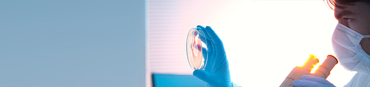 Piramal Pharma Ltd. to acquire 100% stake in Hemmo Pharmaceuticals