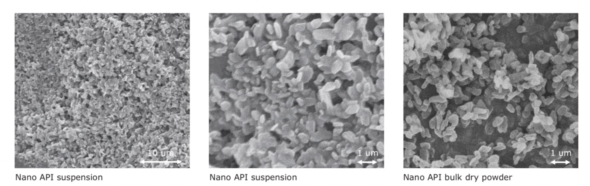 Piroxicam study shows superior pharmacokinetic profile of nanoparticles