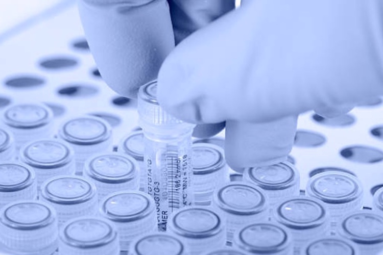 Plasticell leads gene therapy manufacturing consortium 