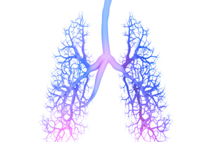 PMI and TissUse collaborate on human aerosol test platform