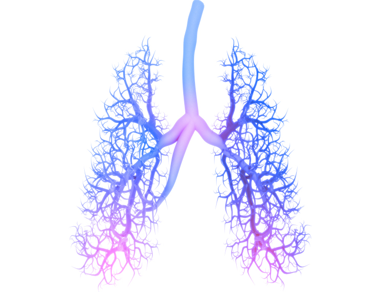 PMI and TissUse collaborate on human aerosol test platform