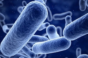 Polymers created with light to fight bacteria