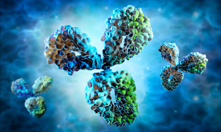 Polyplus expands GMP offer with protein production and adds GMP capacity in Belgium