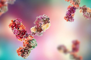 Polyspecific antibodies for cancer research
