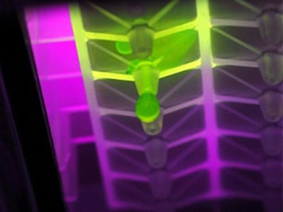 Porvair expands range of high-performance filtration microplates
