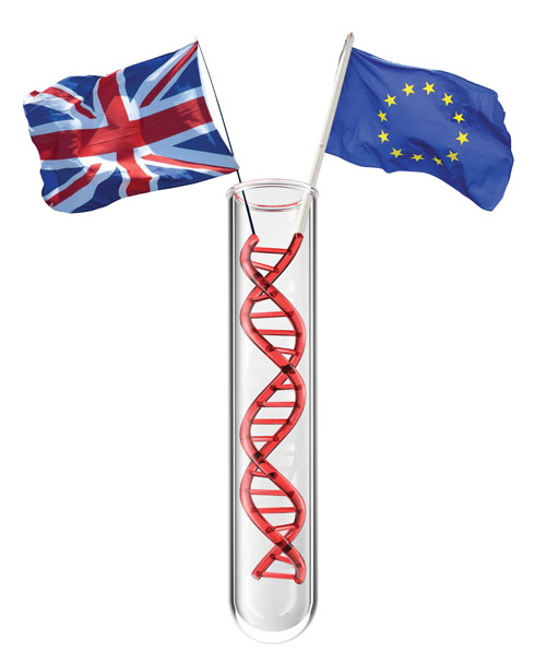 Post-Brexit biosimilar development in Europe: impacts and challenges
