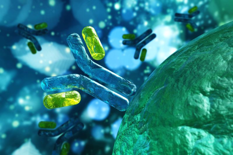 Prellis biologics partners with Eli Lilly to advance next-generation human antibody therapeutics