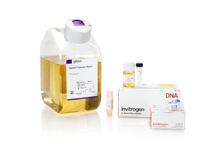 ProBioGen and Thermo Fisher Scientific team up on cell platform