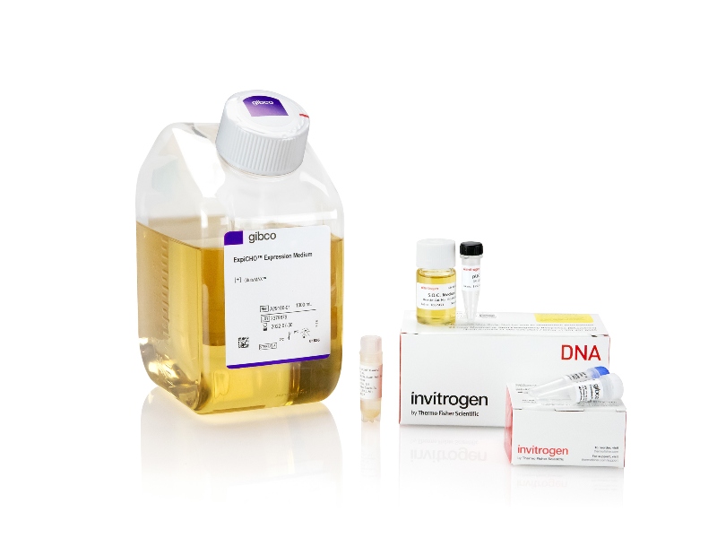 ProBioGen and Thermo Fisher Scientific team up on cell platform