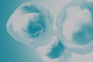 ProBioGen gets green light for cell line tech research license