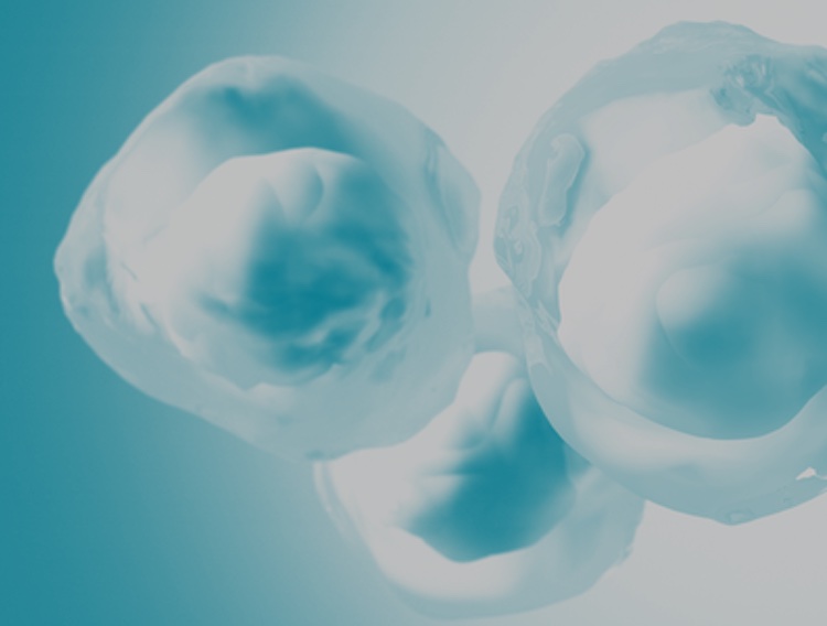 ProBioGen gets green light for cell line tech research license