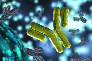 ProBioGen teams up with Granite Bio for cell line development and GMP manufacturing services
