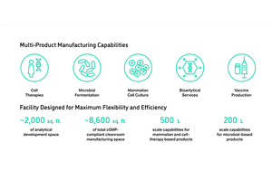 Process development and clinical manufacturing