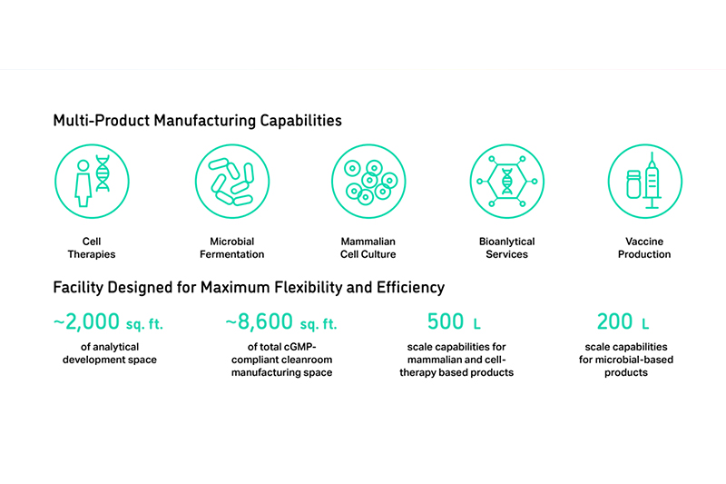 Process development and clinical manufacturing
