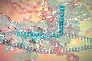 Prof. Virginijus Šikšnys: recent progress in CRISPR-Cas9 technology