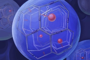 ProLynx collaborates with Daiichi Sankyo on drug delivery 