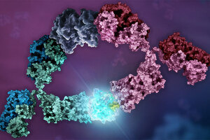 Promega UK Launches Lumit Cell Proliferation Assay (Human Ki-67) for rapid, wash-free detection of a key proliferation marker