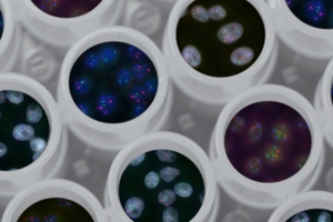 Proprietary AAV gene therapy product line to launch