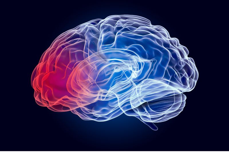 ProSpecBio launches CHO cell-derived Activin-A recombinant protein to advance inflammation and brain injury research