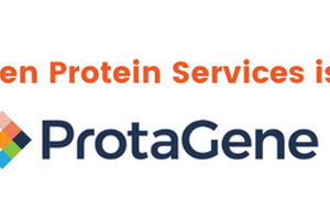Protagen rebrands as ProtaGene following merger 
