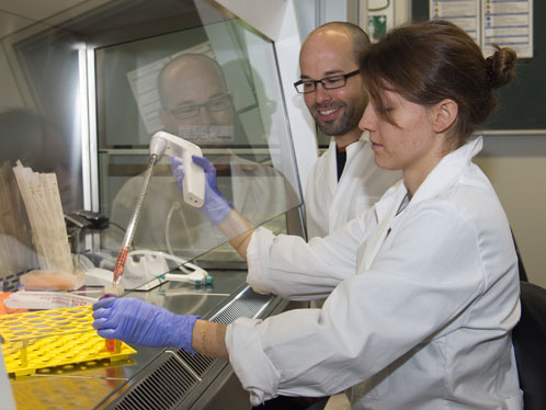 Protein engineering extends the language of immune cells