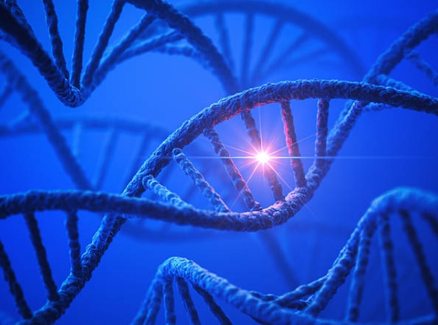 Protein engineering technology for improved drug candidates