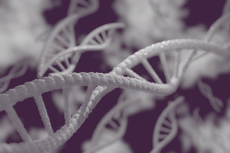 PTC Therapeutics' gene therapy Kebilidi bags FDA approval for AADC deficiency