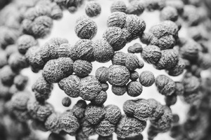 Purolite and Repligen launch a novel CH1 affinity resin for the purification of specialised mAbs