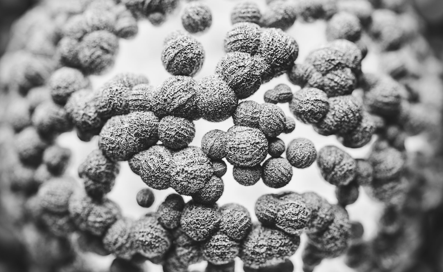 Purolite and Repligen launch a novel CH1 affinity resin for the purification of specialised mAbs