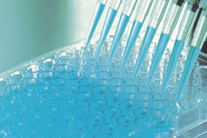 Quay Pharma partners with XenoGesis on drug development