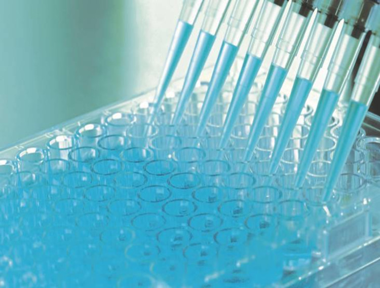 Quay Pharma partners with XenoGesis on drug development