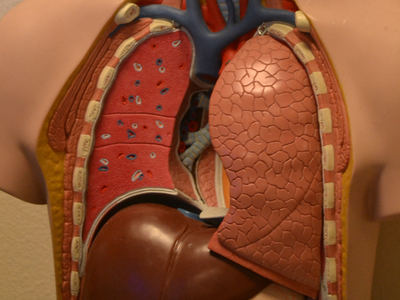 Quintiles outsource Verona COPD and cystic fibrosis therapeutics
