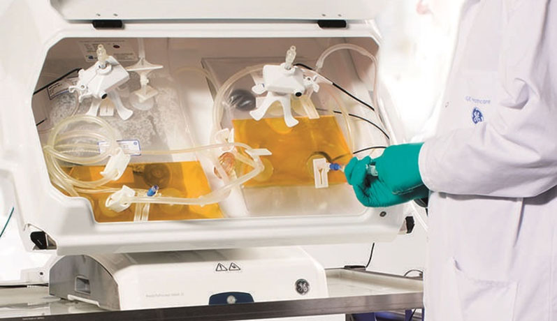 Realising the potential of single-use technology
