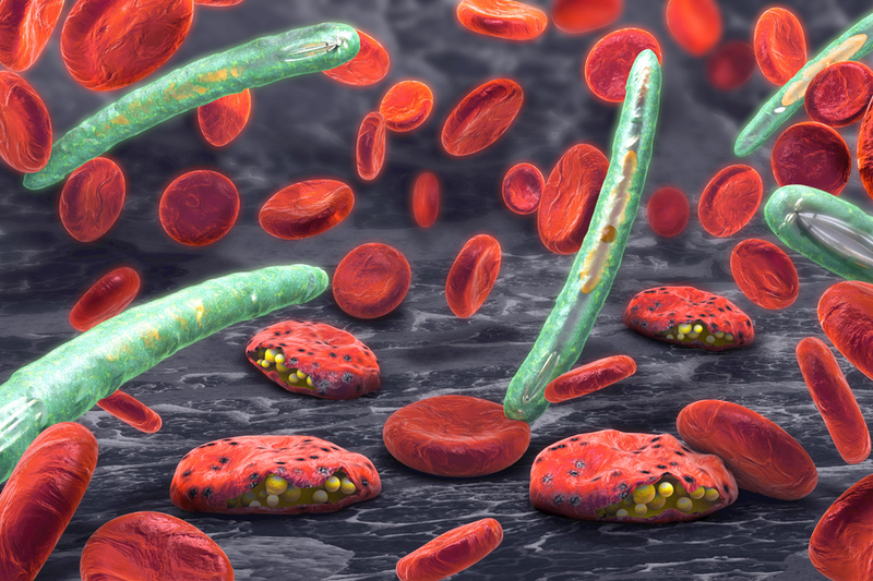 RecBioPharm to deal with fill-finish for Oxford Uni's malaria vaccine candidates