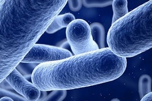 Recce granted Qualified Infectious Disease Product Designation