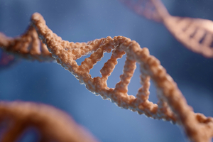 ReciBioPharm partners with Hongene Biotech to provide sgRNA manufacturing capabilities
