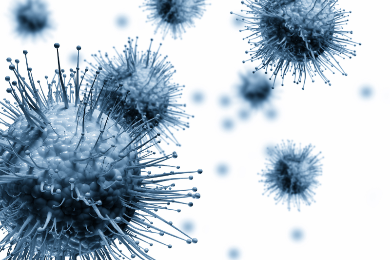 Recipharm and CanVirex partner on scalable oncolytic virus manufacturing