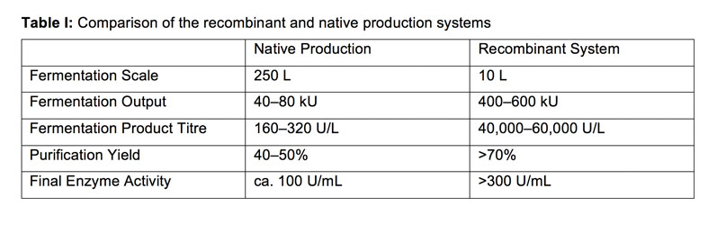 Recombinant cultures for superior enzyme output
