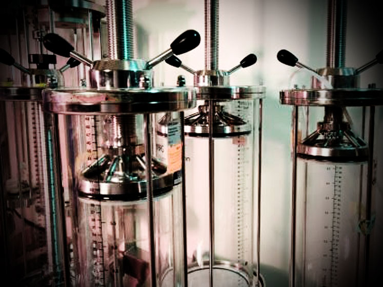 Recombinant cultures for superior enzyme output  