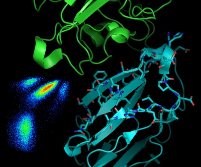Researchers develop new technique for developing drugs to treat serious illnesses