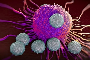 Researchers find switch turning on immune cell tumour clearing ability